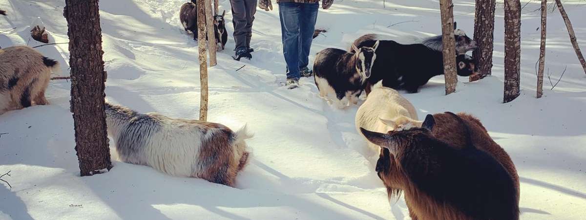 Snowshoe Adventure at intothewoodsfarmny.com