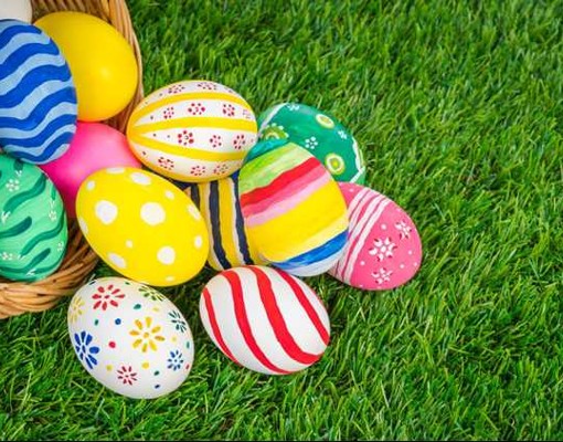 Egg Basket Photo