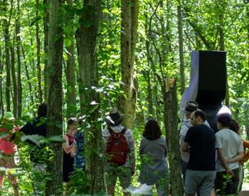 Tour of the Sculpture & Architecture Park at Art Omi.
