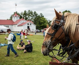 horse and people at outdoor event