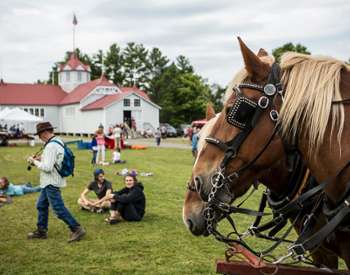 horse and people at outdoor event