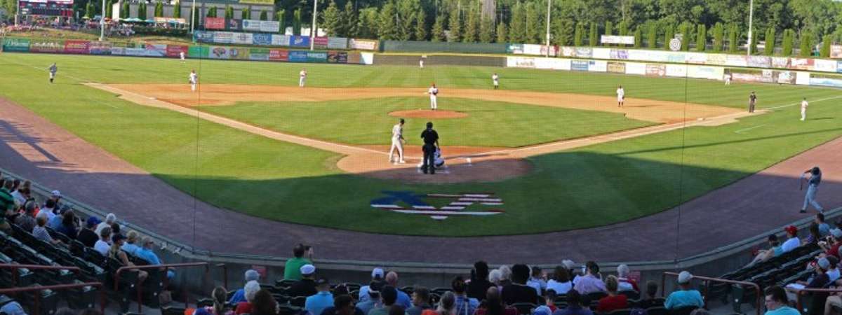 people watching a baseball game