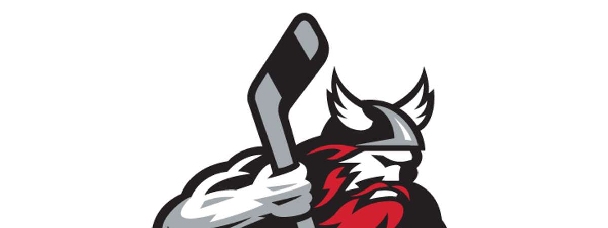 adirondack thunder logo