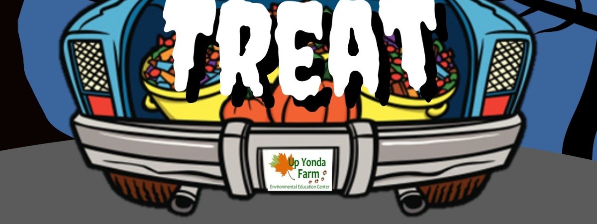 Trunk or Treat 2025 information flyer