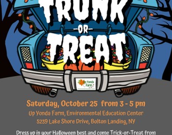 Trunk or Treat 2025 information flyer