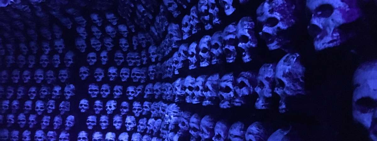 upside skulls filling a black wall