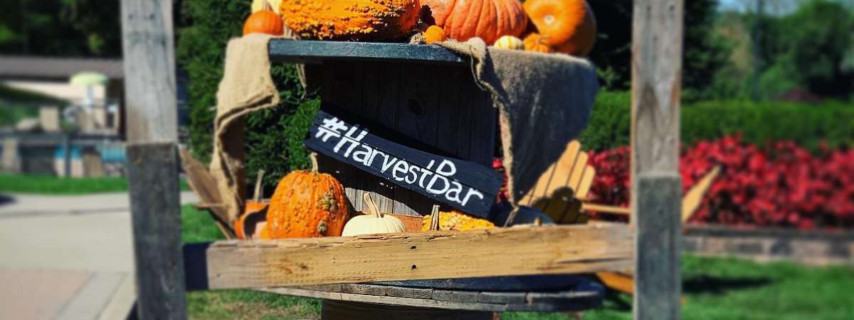 stacked pumpkins with Harvest Bar sign