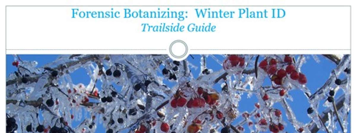 Use this digital guide (PDF format) while trailside during this event to identify each flagged plant along our route.