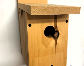 Wooden wren house