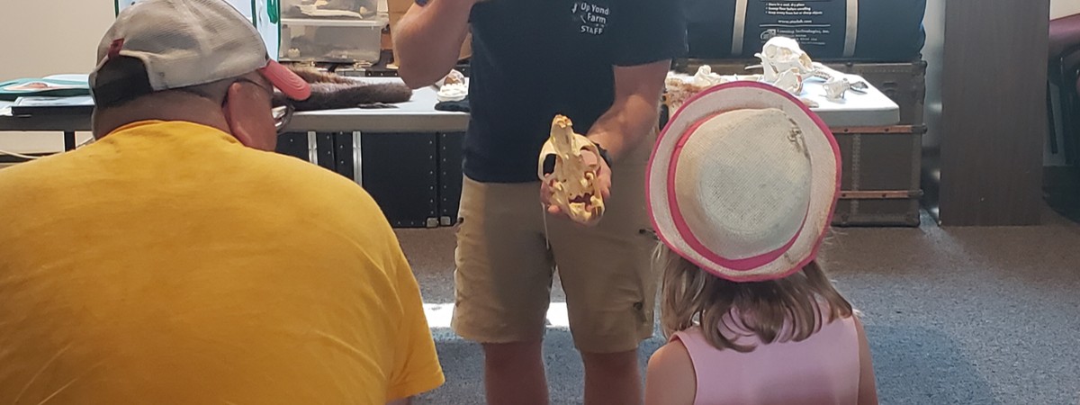 Animal Adaptations program Up Yonda Farm