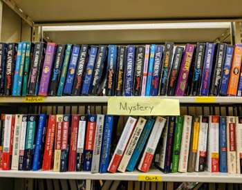 used mystery books on book shelves for sale