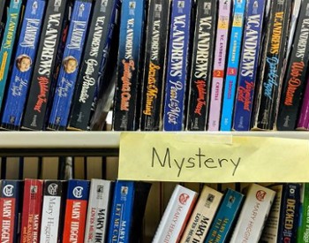 mystery books