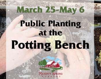 Public Planting at the Potting Bench