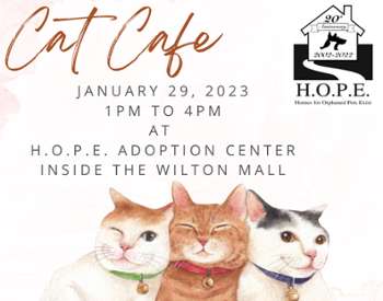 cat cafe event image
