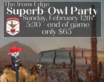 Superb Owl Party