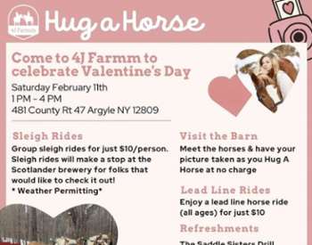 Hug-a-Horse