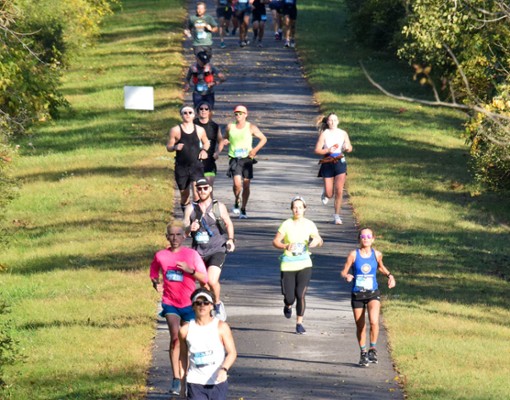 people running on paved walkway