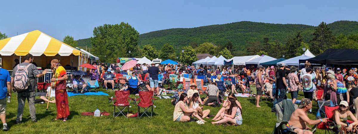 crowd at outdoor music festival memorial meltdown