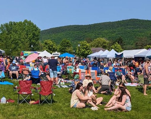 crowd at outdoor music festival memorial meltdown