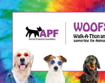 Woofstock Walk-A-Thon and Music Festival flyer