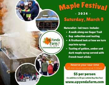 Up Yonda Maple Festival ad