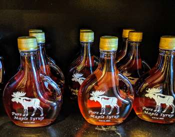 maple syrup bottles with moose on them
