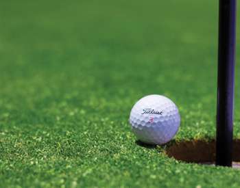 golf ball on a putting green