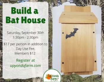 September Bat House Ad