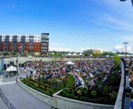 outdoor summer concert