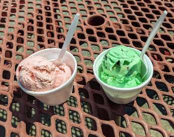 ice cream on picnic table