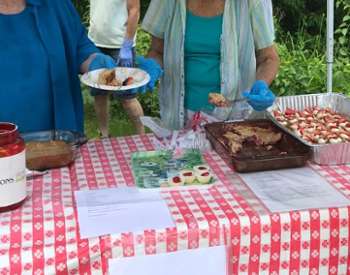 strawberry festival vendor