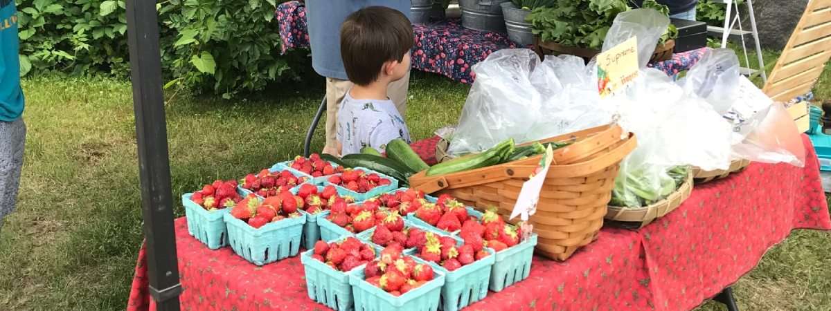 strawberry festival vendor