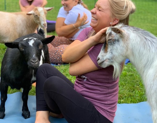 Intothewoodsfarmny.com goat yoga