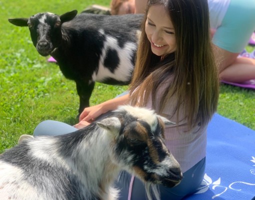 Intothewoodsfarmny.com goat yoga