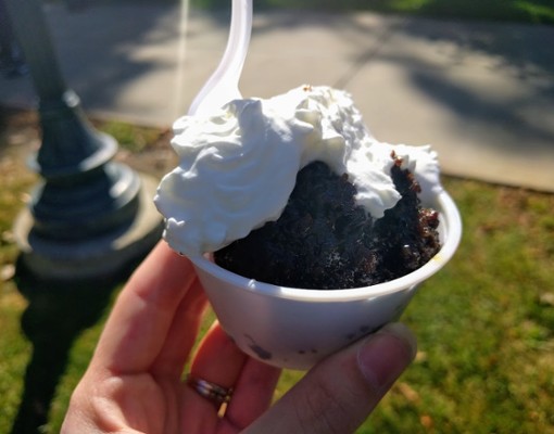 sample of cranberry bread pudding