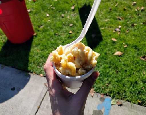 sample of mac and cheese