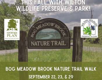 Nature Walk Poster