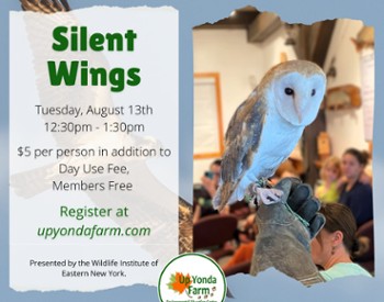 Silent Wings ad with photo of owl and same information as event description