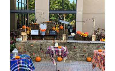 patio area decorated for fall