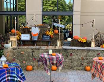patio area decorated for fall
