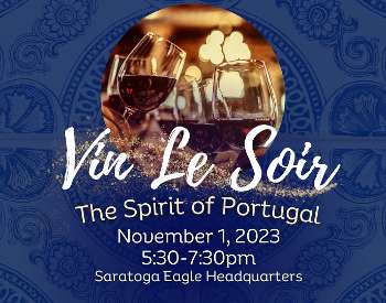 Vin Le Soir logo banner