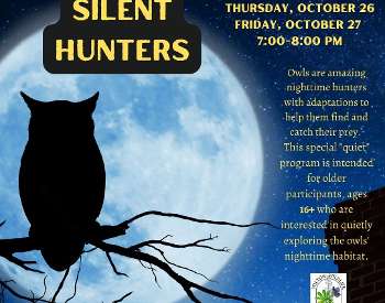 Silent Hunters
