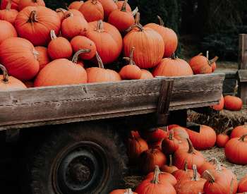 1000 Acres Ranch Resort Fall Festival Weekends