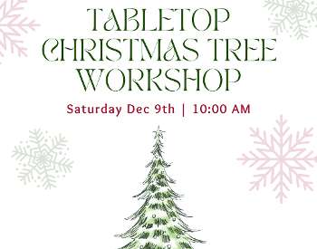 Make Your Own Tabletop Christmas Tree - Saturday, Dec 9 @ 10:00am