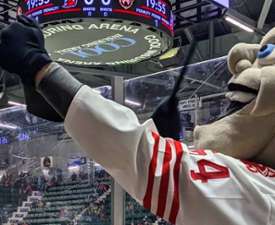 adirondack thunder mascot