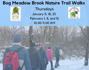 Bog Meadow Brook Nature Trail Walks