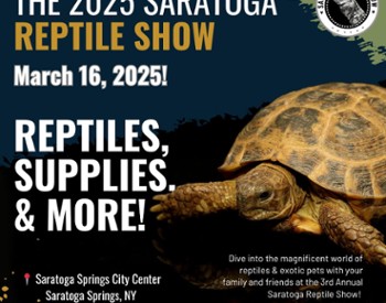 Poster for reptile show