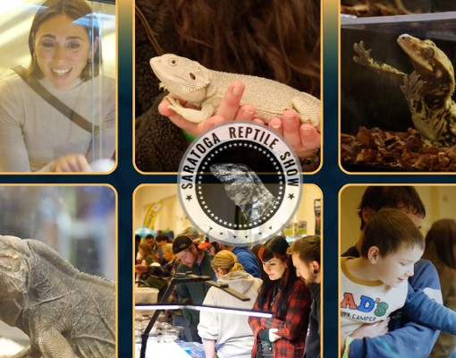 saratoga reptile show collage