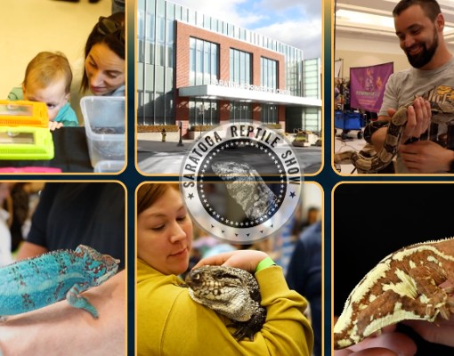 saratoga reptile show collage