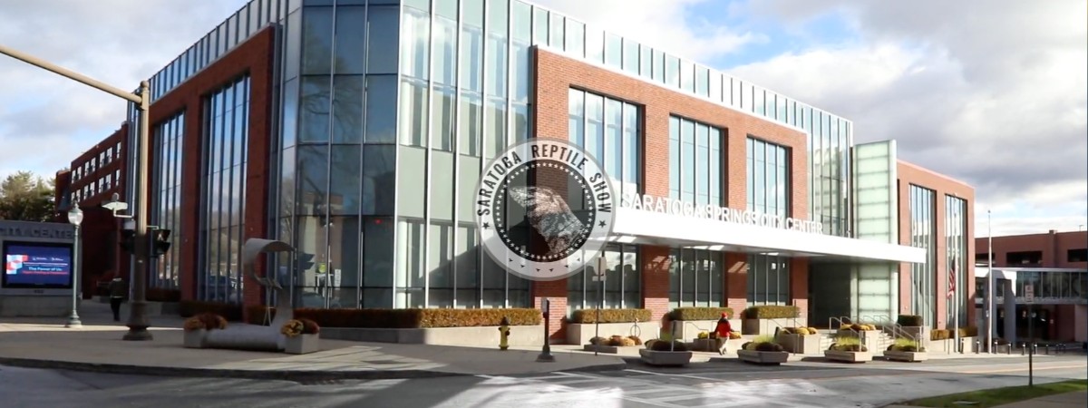 exterior of saratoga city center